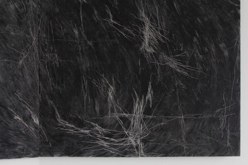 Cerys Wiles